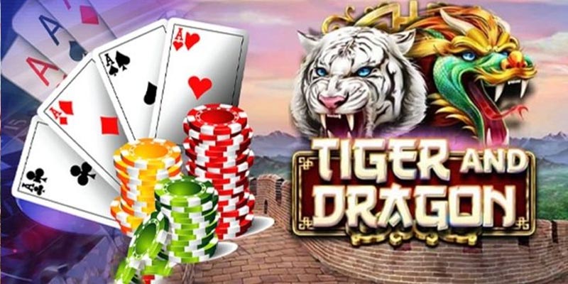 Mẹo chơi Rồng Hổ dễ thắng cho người mới