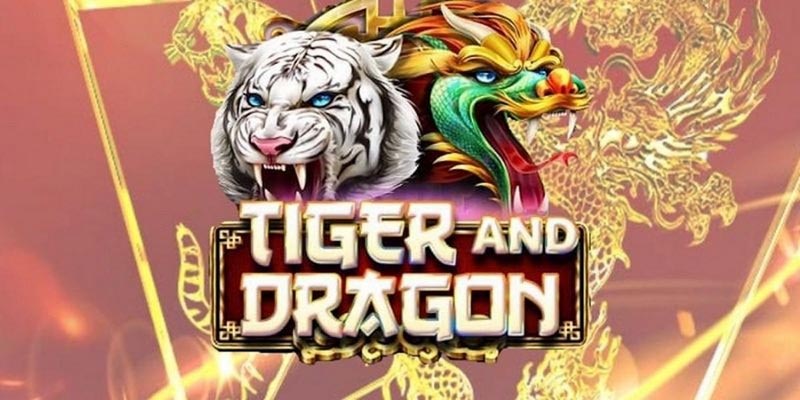 Rồng Hổ là gì?